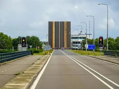 Çalılara Takılan Balık Ağları Balık Katliamına Yol Açıyor