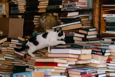 Cezaevleri için kitap bağış kampanyası başlatıldı