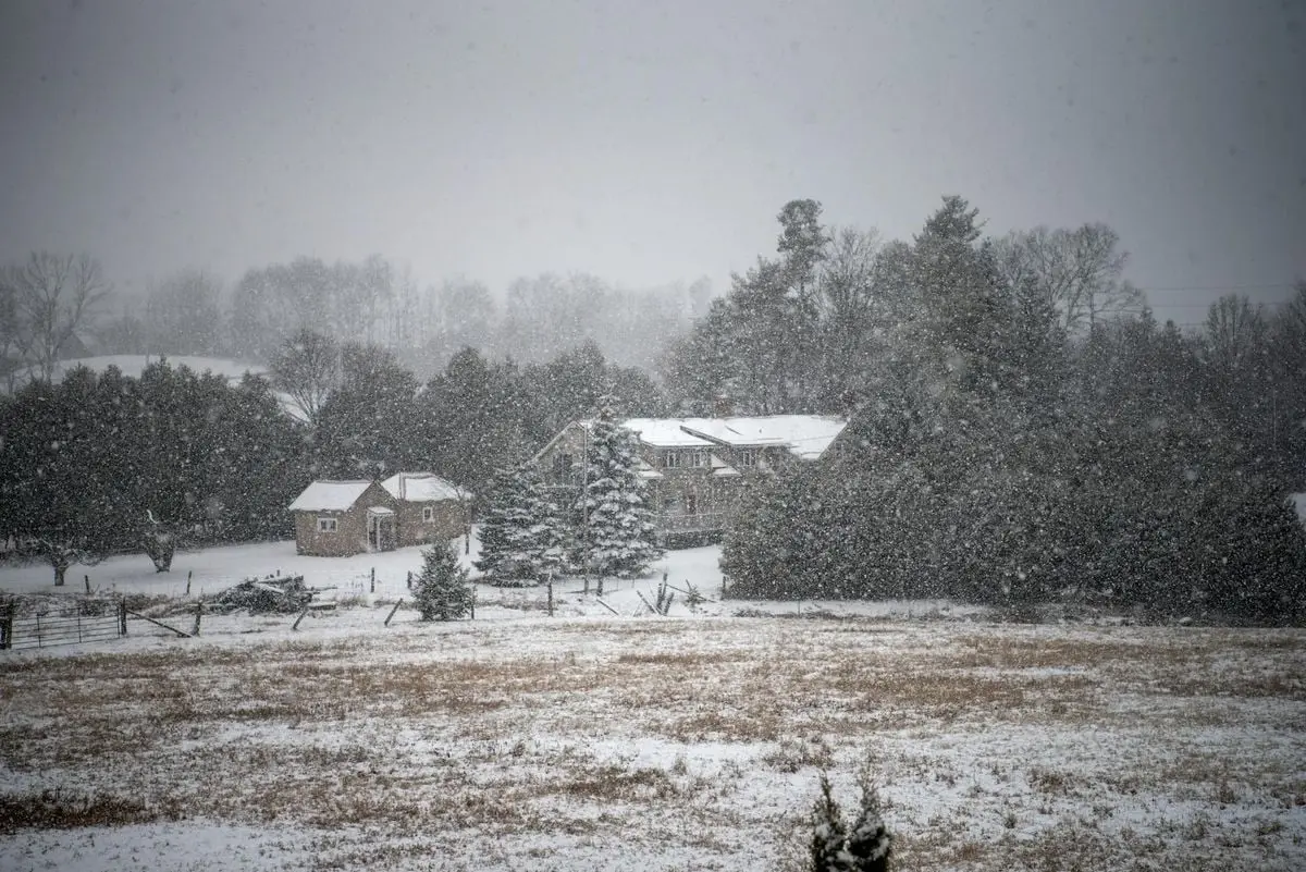 A serene village landscape covered in snow, surrounded by trees during a snowstorm.