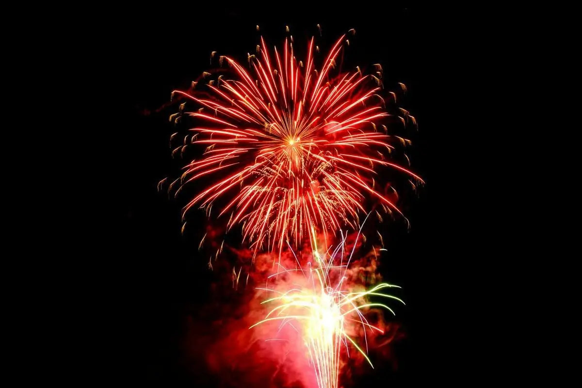 Bright and colorful fireworks exploding against a dark night sky, perfect for celebrating special occasions.