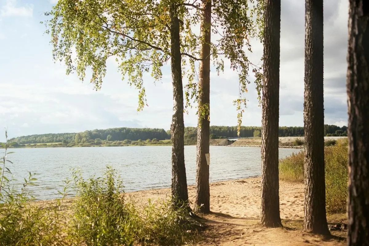 Beautiful lakeside landscape with trees in Vileyka, Belarus, during a sunny day.