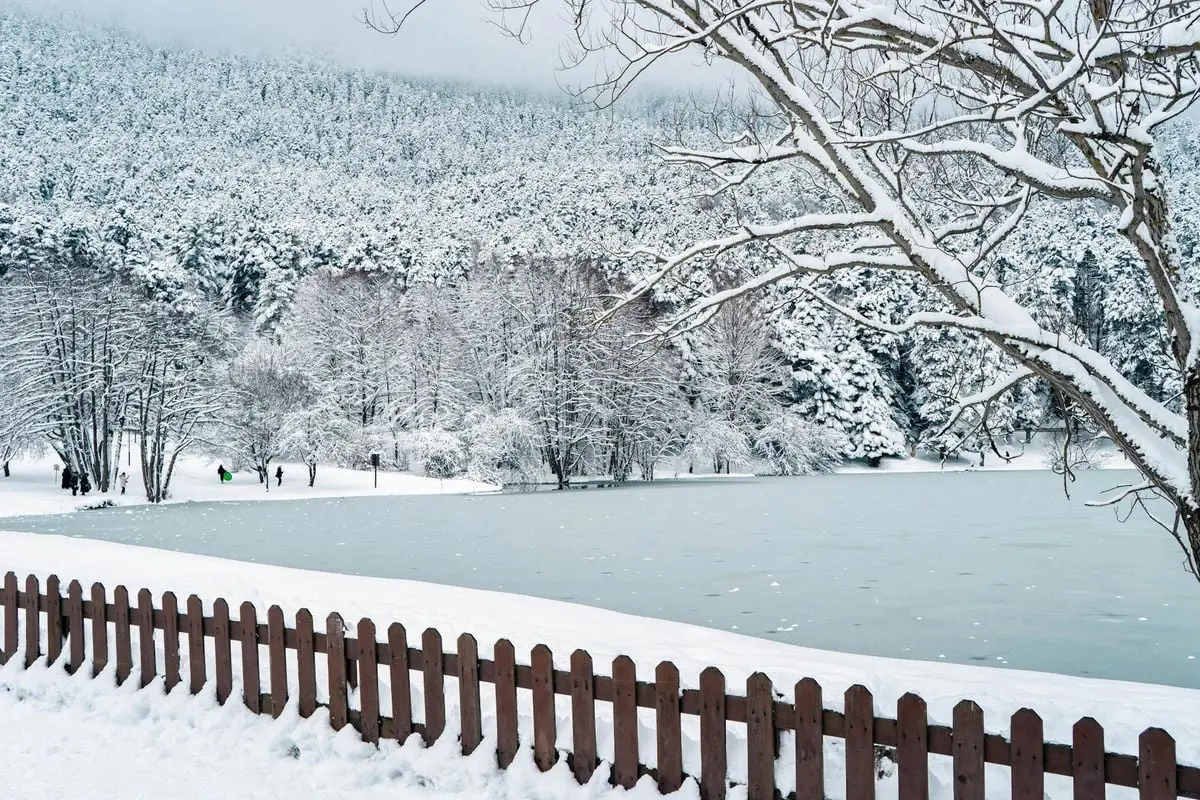 A peaceful winter scene featuring a frozen lake, snow-covered trees, and a wooden fence under a blanket of fresh snow.