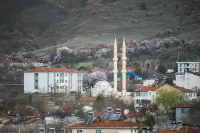 Doğa yürüyüşü etkinliği