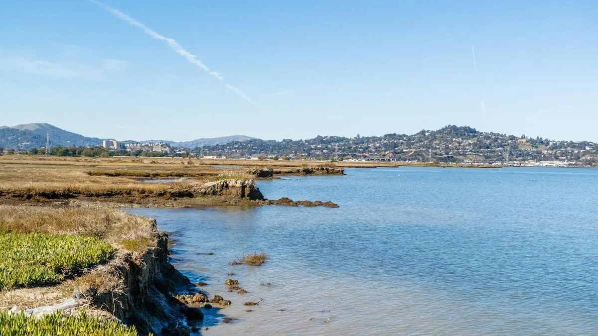 Peaceful coastal view showcasing water, rugged terrain, and a distant hillside town under clear skies.