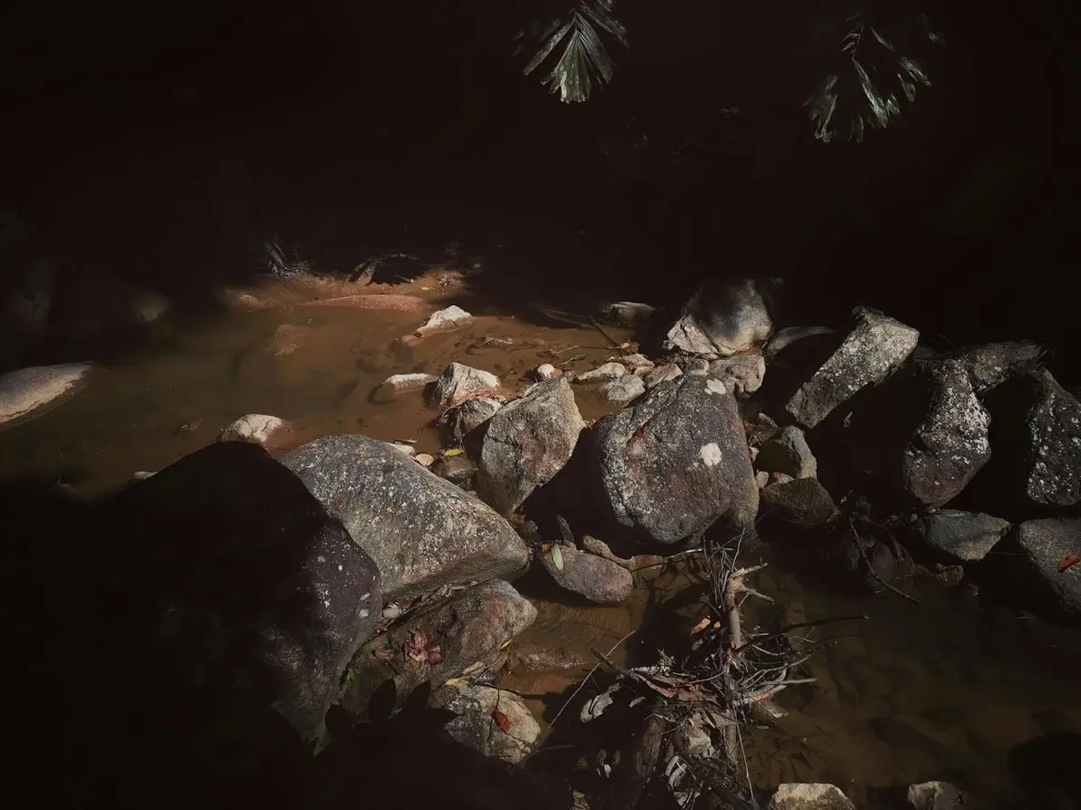 Sunlight illuminates a rocky stream in a natural setting, George Town, Malaysia.