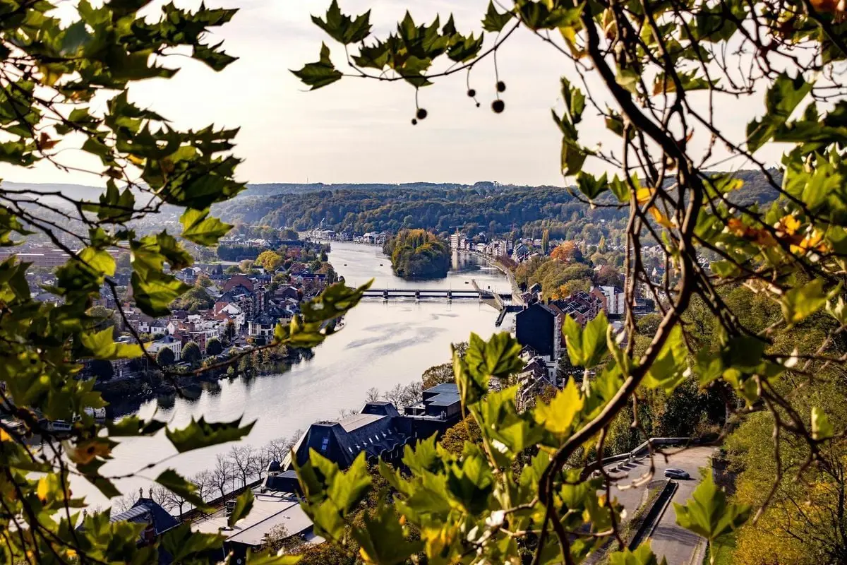 Aerial view of Namur, Belgium framed by lush green leaves with the winding river below.