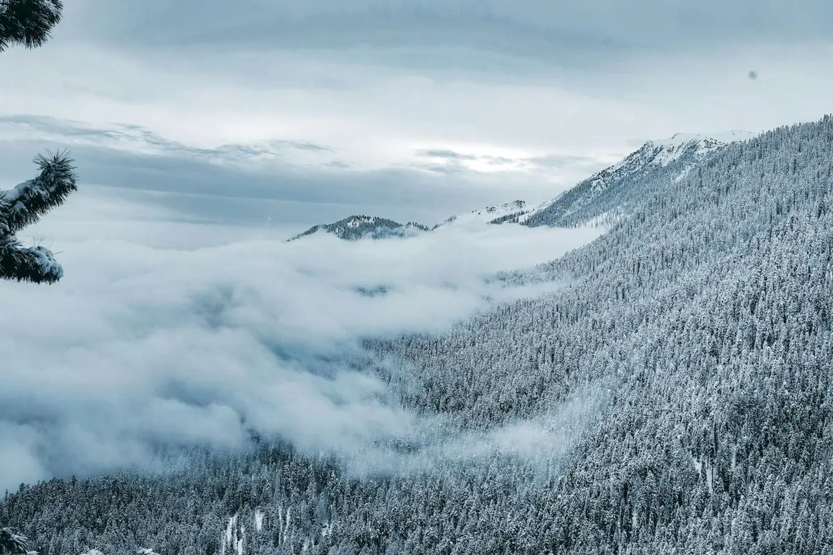 Stunning winter landscape with fog enveloping snow-covered mountains and trees.