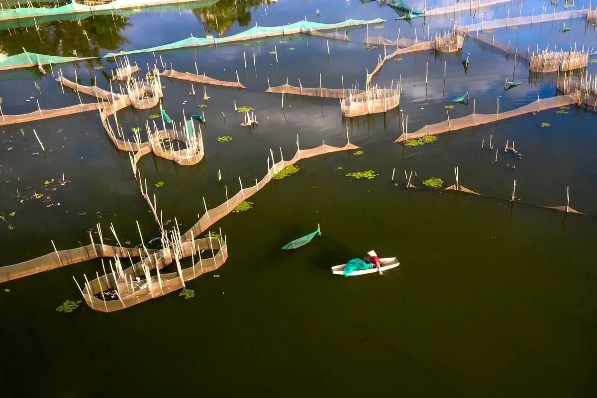 Drone shot of a fisherman navigating through nets in calm waters.