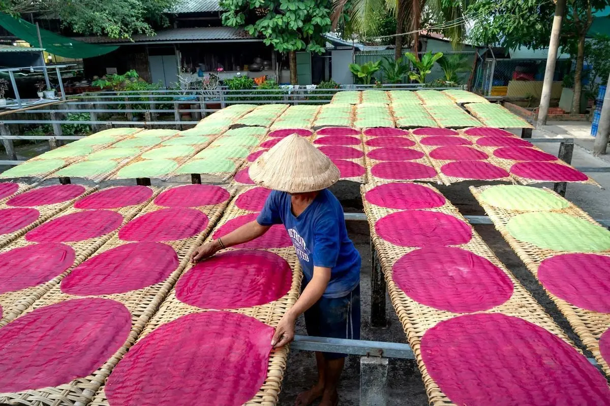 A man drying rice paper outdoors, showcasing traditional Vietnamese methods and vibrant colors.