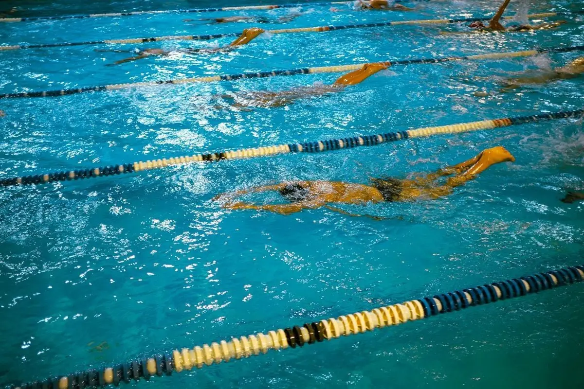Indoor swimming competition with swimmers racing in lanes under artificial lighting.