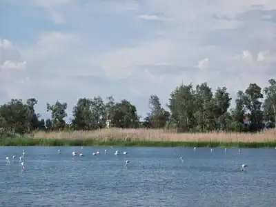 'Ermenek Araştırmaları' adlı bilimsel bir eser yayınlandı.