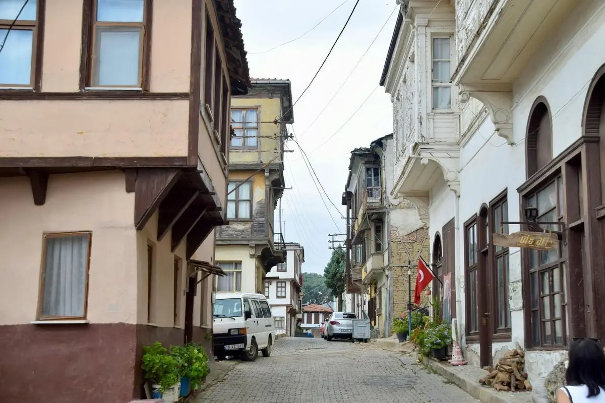 Picturesque narrow cobblestone street with traditional architecture on a cloudy day.