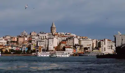 Ermenek Belediyesi İpek Böcekçiliği Hakkında Bilgilendirme Toplantısı Yapacak