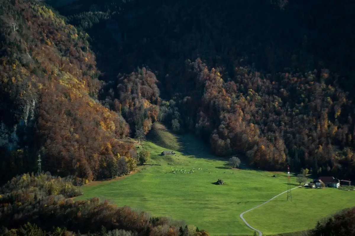 Picturesque autumn landscape with a valley surrounded by vibrant fall forest, near Thun, Switzerland.