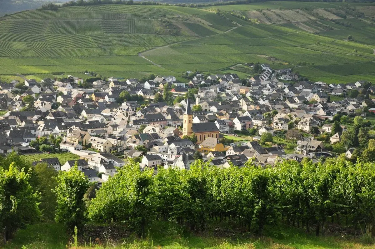 Charming European town nestled among lush vineyards under a clear sky.