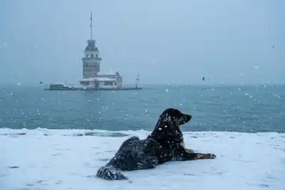 Ermenek maden davasında tahliye kararı