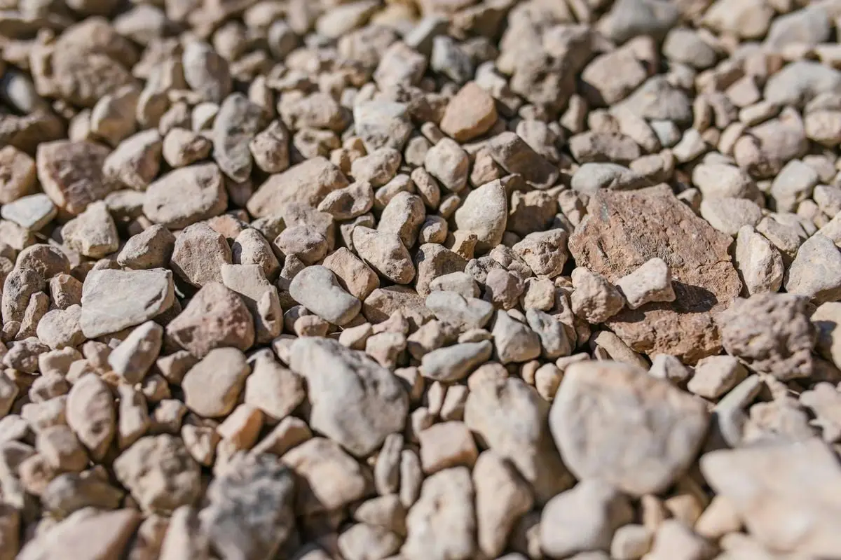 Detailed view of natural gravel stones showcasing their texture and variety.