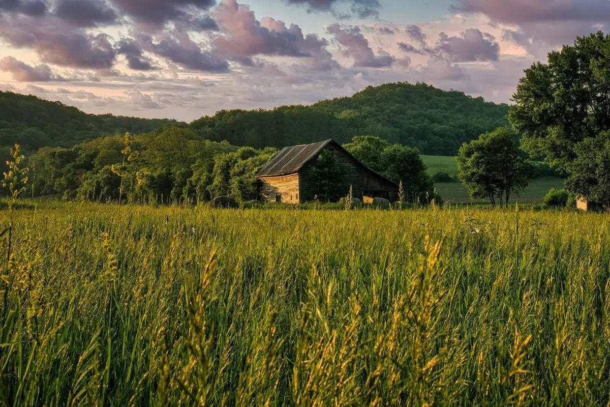 A serene landscape of a wooden barn amidst lush fields and hills during sunset in Pepin, Wisconsin.
