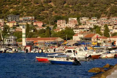 Explore the picturesque marina in Foça, İzmir, with boats and hillside homes under a warm summer sun.