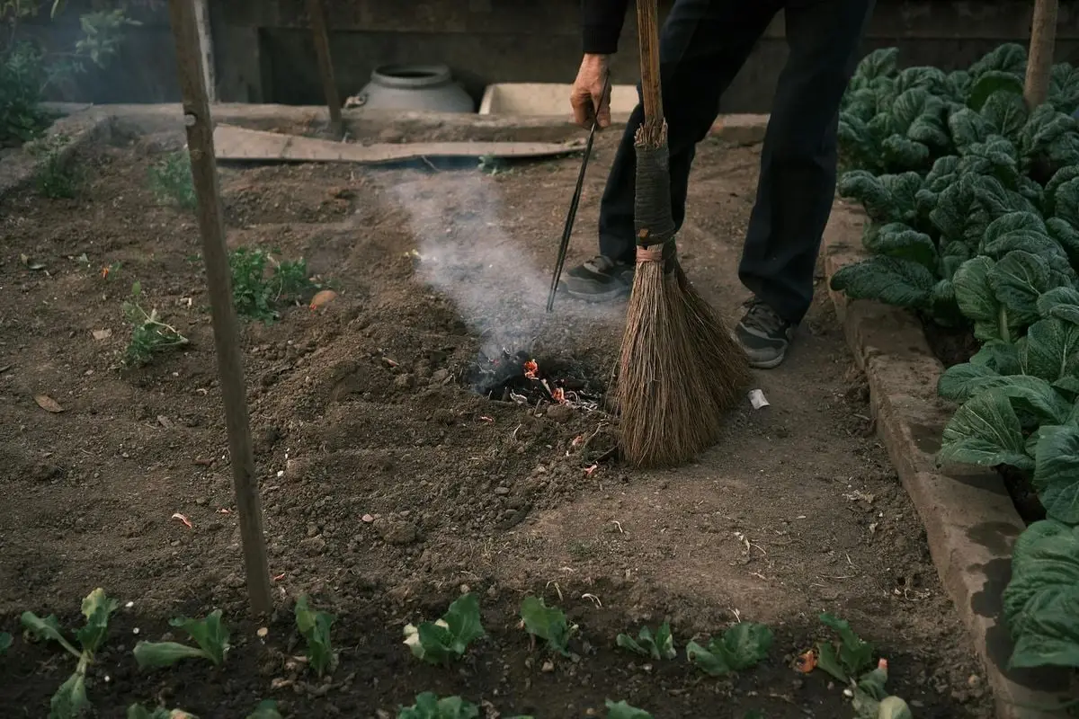A man cleans up a small garden fire, sweeping ashes with a traditional broom.