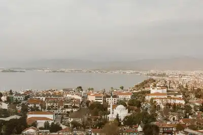 Ermenek'te görülen tilki ölümleri araştırılmalı