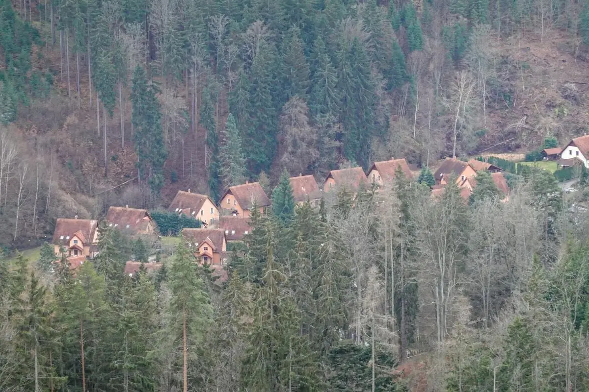 Aerial view of a quaint village nestled in the lush forests of Karlovy Vary Region, Czechia.