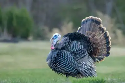 Ermenek Toki'nin Ulaşım Sorunu Kalmadı