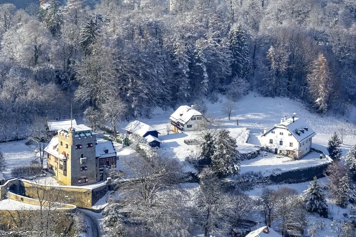 Aerial view of a charming snowy village surrounded by a forest in winter.