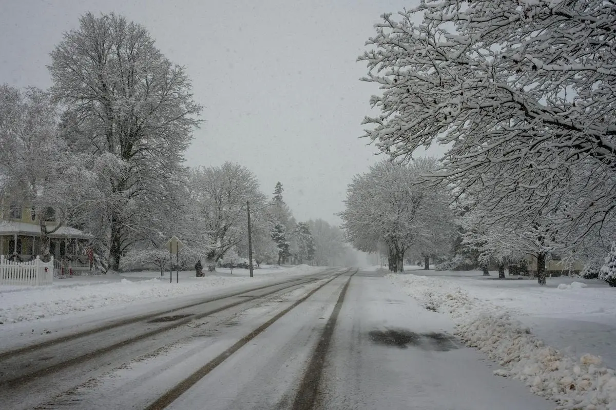 A serene winter landscape of a snow-covered road and trees in Plainview, Minnesota.
