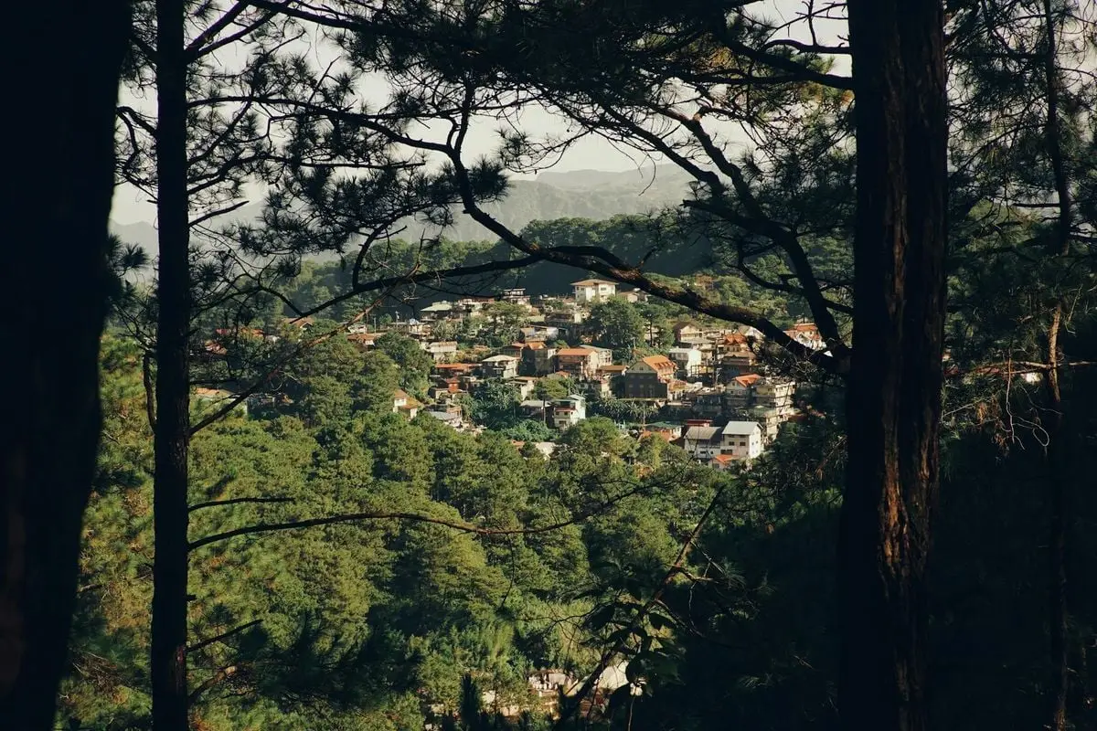 Scenic aerial view of a village with houses amidst dense forest trees, creating a serene natural landscape.