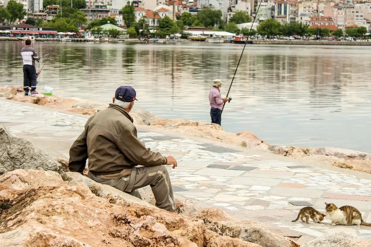 Men fishing by the Bandırma harbor with stray cats in view.
