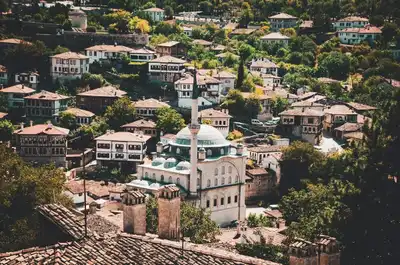 Ermenek'te Bir Çiftçi Limon Yetiştirdi