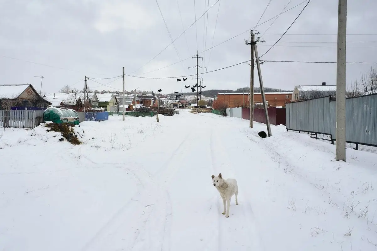 A serene winter village scene with a lone dog on a snowy street under an overcast sky.