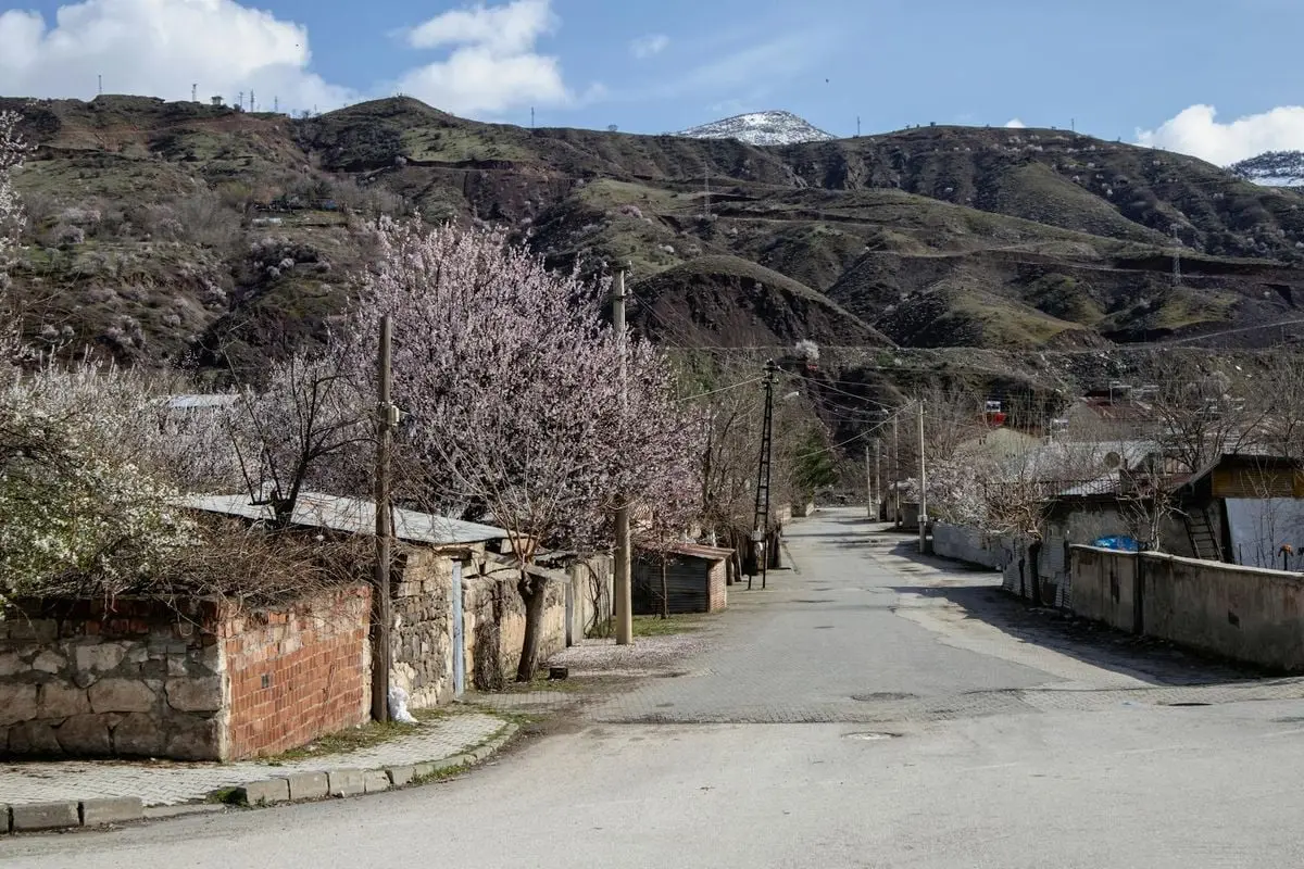 Charming street scene in Palu, Türkiye featuring blooming trees and rustic houses set against rolling hills.