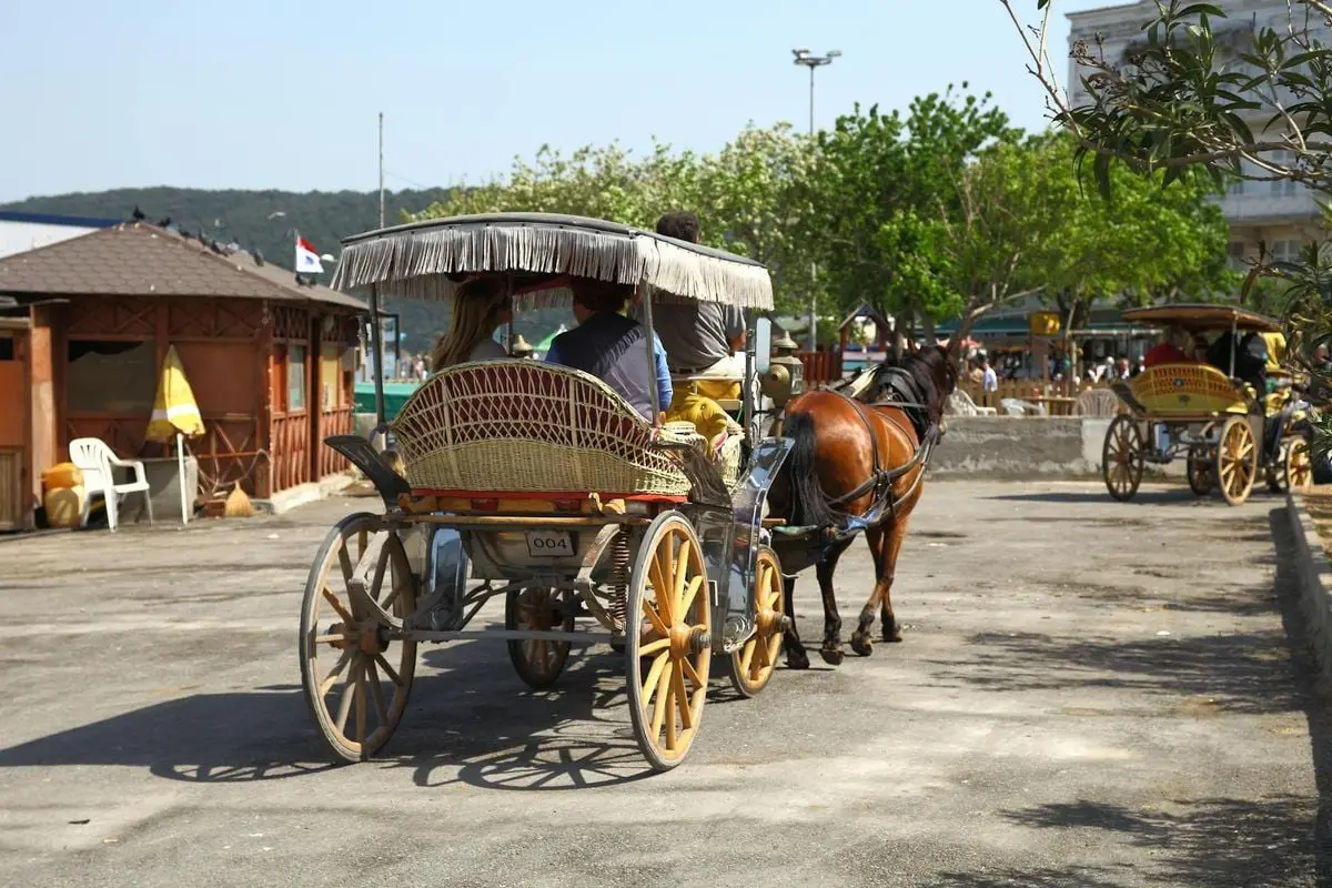 Traditional horse-drawn carriages offer a nostalgic ride through Istanbul's charming streets.