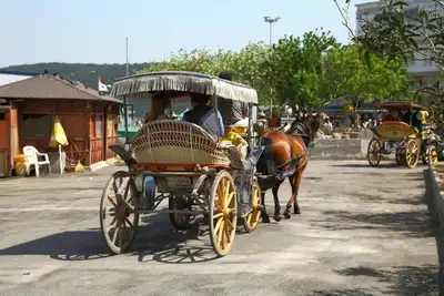 Ermenek'te kurt dehşeti
