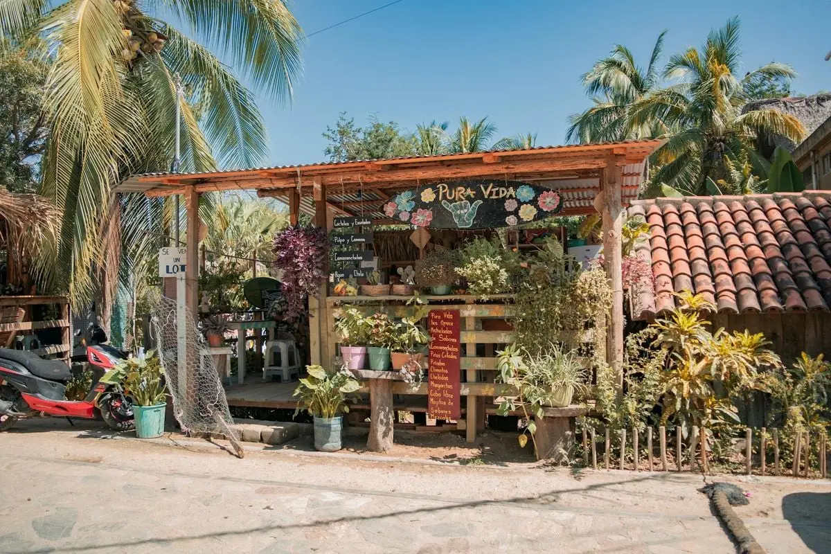 Rustic bistro with lush greenery in Mazunte, Oaxaca, showcasing vibrant tropical plants.