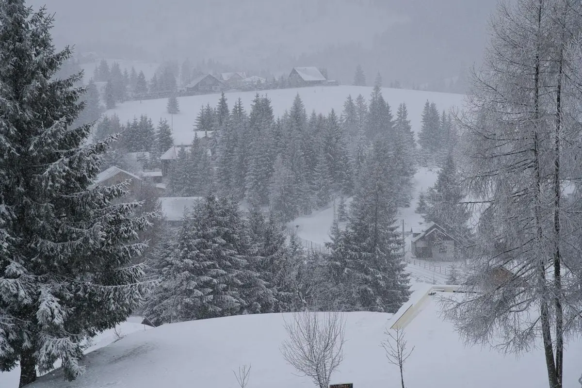 A serene winter scene with snow-covered pine trees and houses in a quiet village.