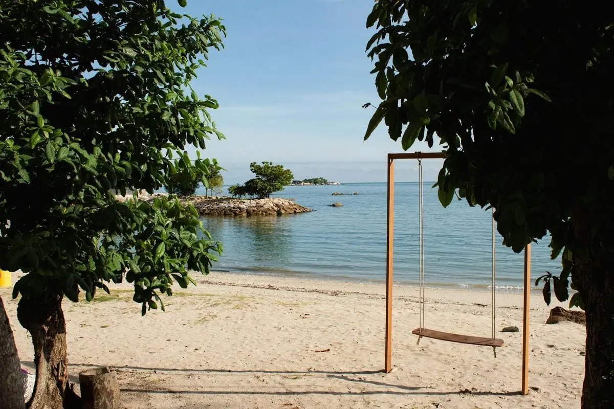 Peaceful beach scene with swing, trees, and ocean view in George Town, Malaysia.
