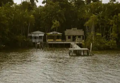 Rustic riverside houses surrounded by lush greenery in Pará, Brazil.