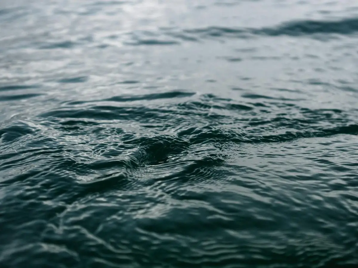 A tranquil scene of ocean ripples captured during daylight, showcasing soothing water textures.