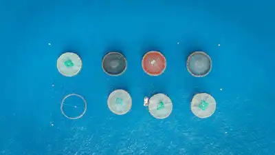 Aerial view of fish farms in blue waters of Caniçal, Madeira, Portugal.