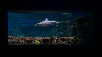 Güzel Sanatlar Lisesi Yetenek Sınavı Takvimi Açıklandı
