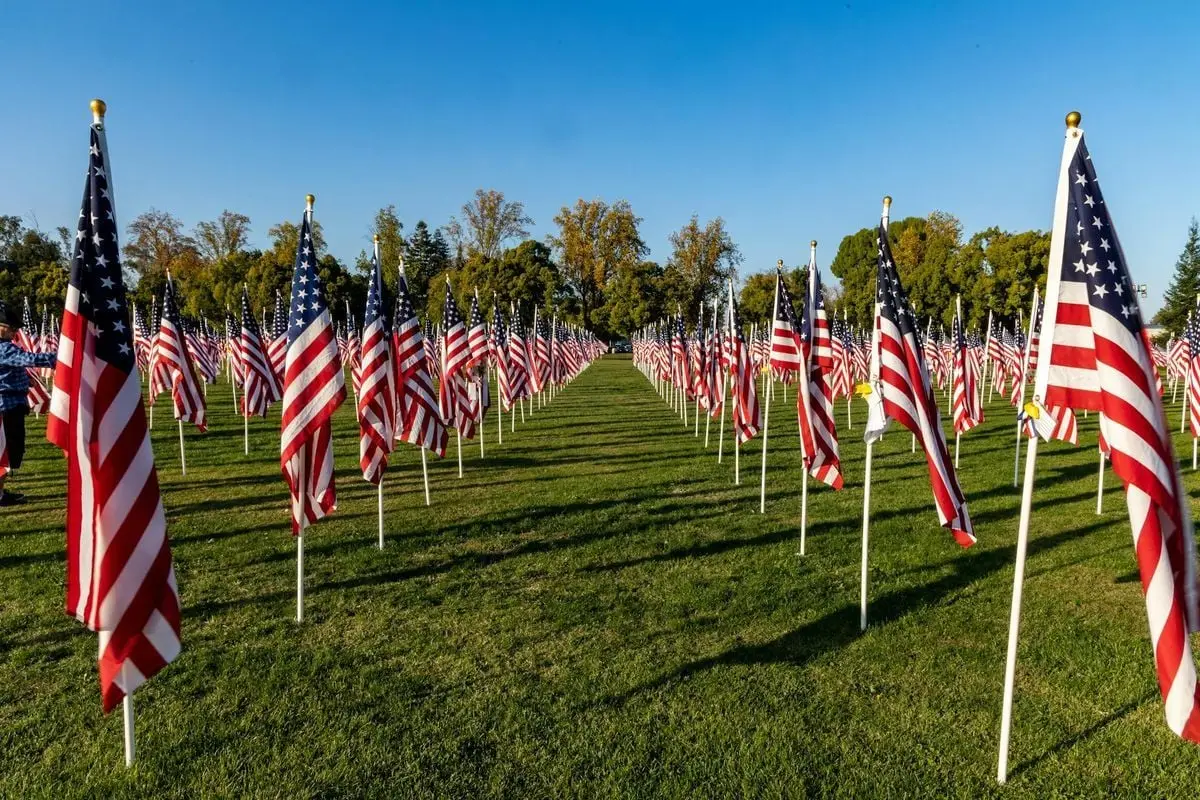 Vibrant field of American flags on display, honoring veterans and celebrating patriotism.