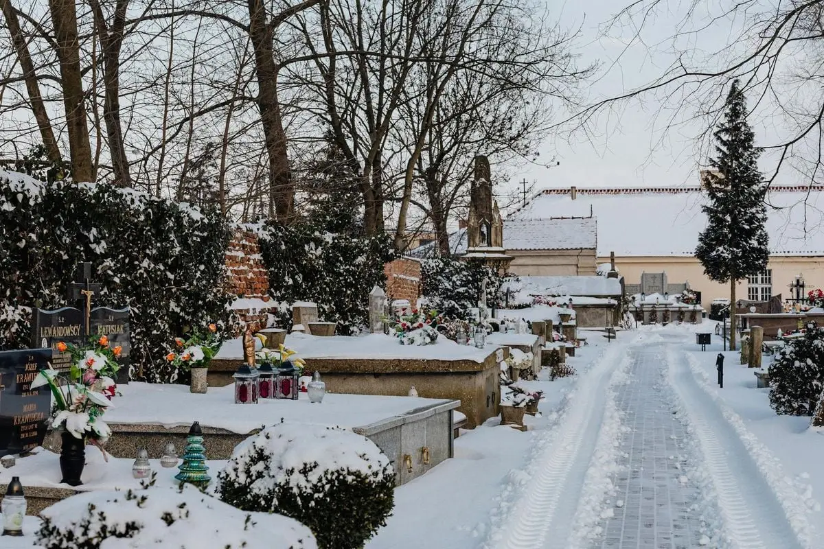 Peaceful winter cemetery scene with snow-covered tombstones and bare trees.