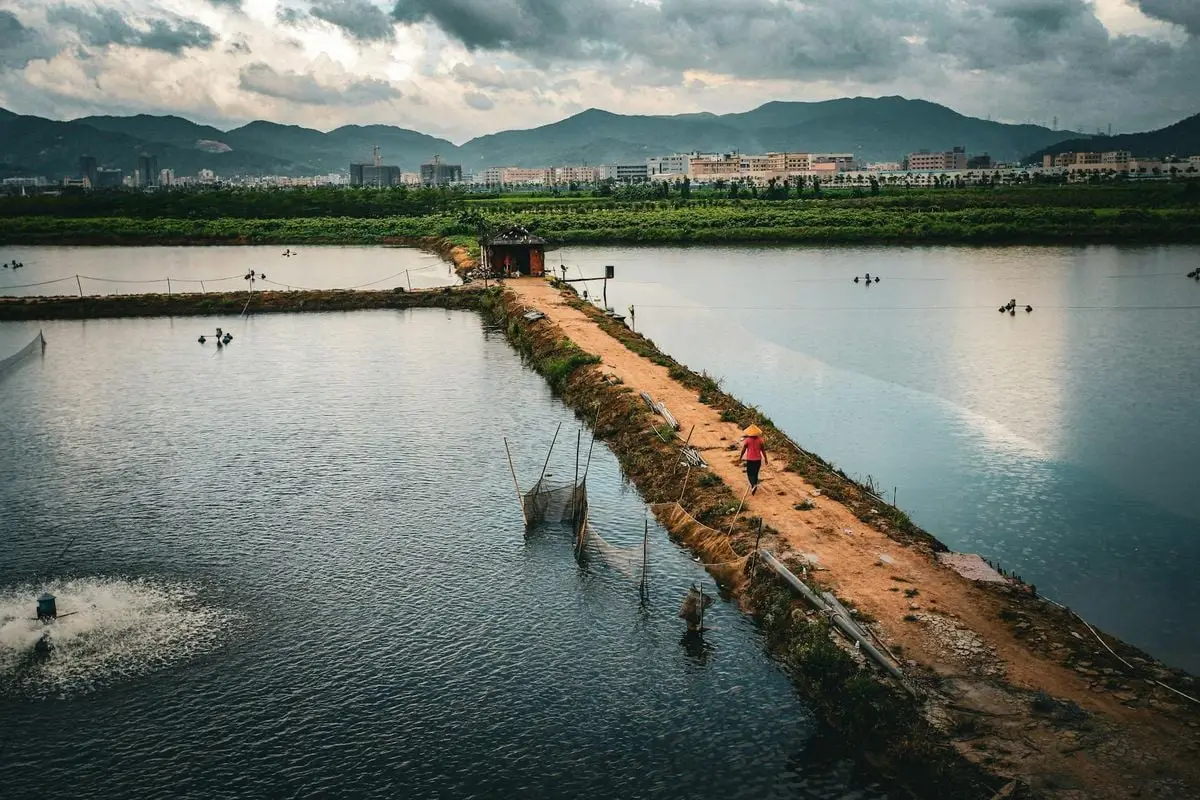 Scenic aerial shot showcasing a rural fish farming area with mountains in the background.
