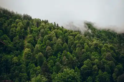 Hemşerimiz Prof. Dr. Mehmet Erikoğlu yeni muayenesinde hasta kabulüne başladı!
