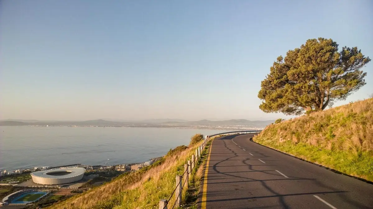 A scenic road curves by the coastline with a tree and ocean view, under a clear sky.