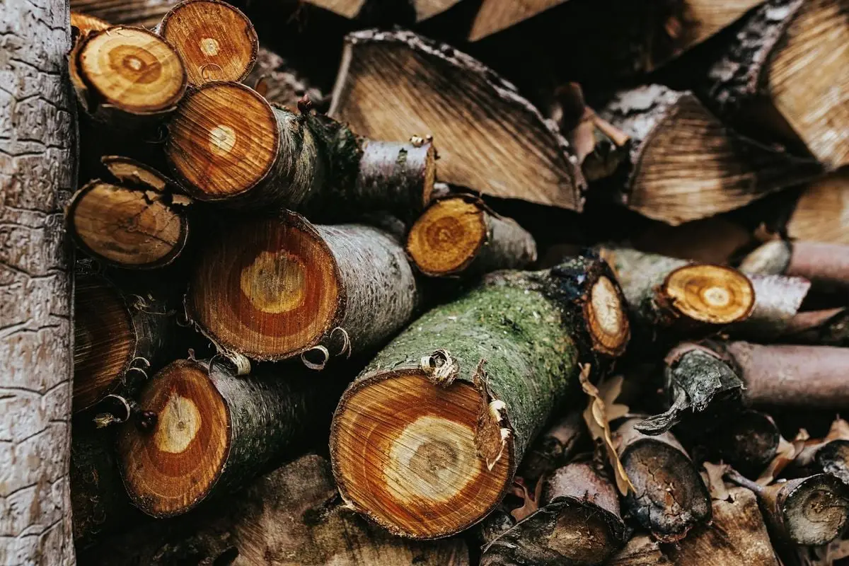 Close-up of chopped logs stacked outdoors, showcasing rich textures and natural wood patterns.