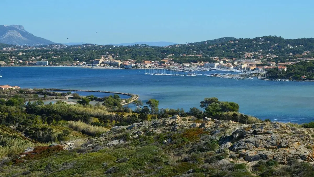 Aerial view of a picturesque coastal town with a bustling marina and serene seascape.